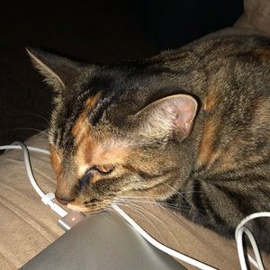 Meet your Posher, Jackson